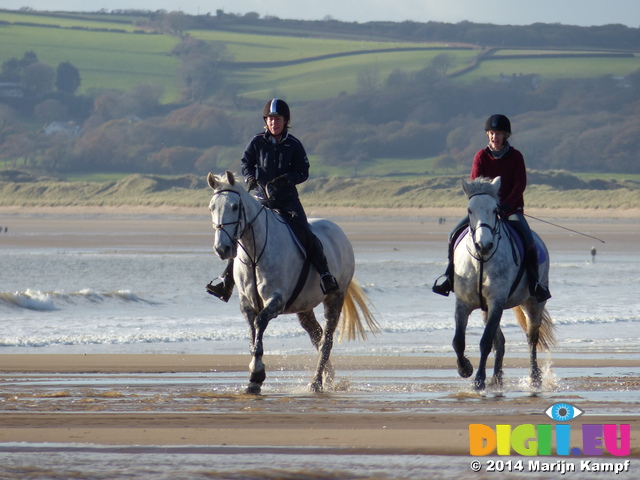 FZ010134 Horses at Three Cliffs Bay